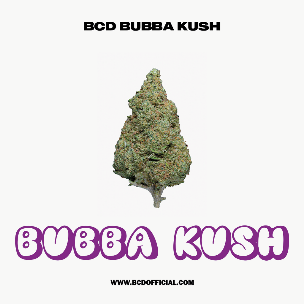 BCD OFFICIAL BUBBA