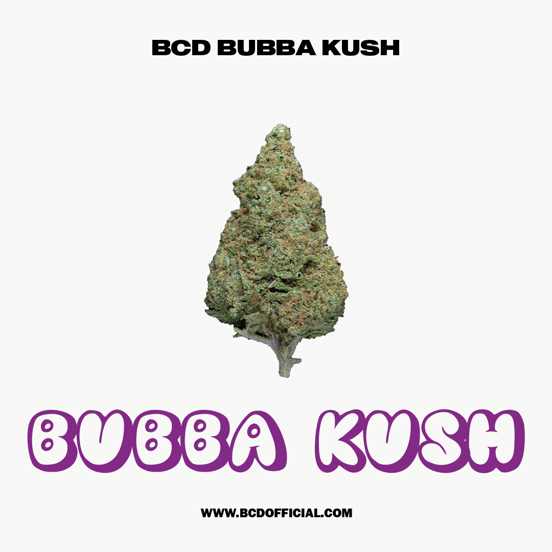 BCD OFFICIAL BUBBA